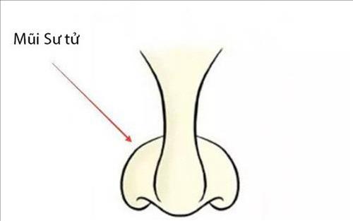 Khám phá về mũi to không lo chết đói