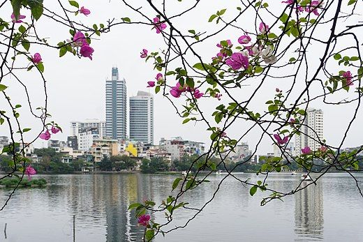 Hà Nội, ngày 10 tháng 3 năm 2019.jpg