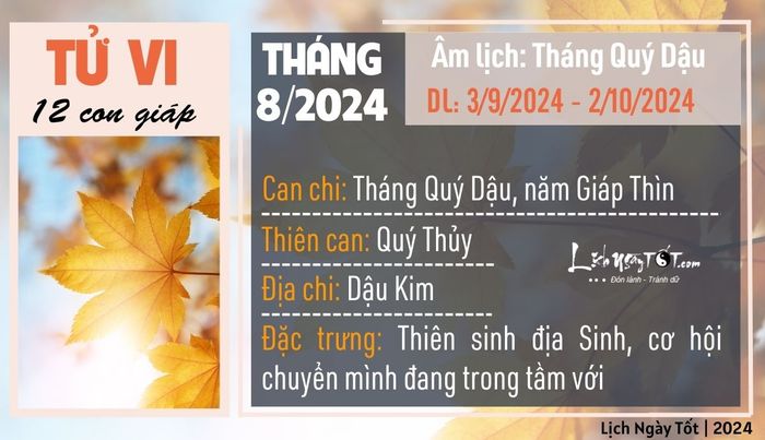 Tổng quan về vận mệnh tháng 8