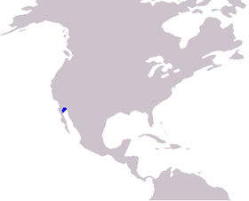 Phạm vi phân bố của cá heo California