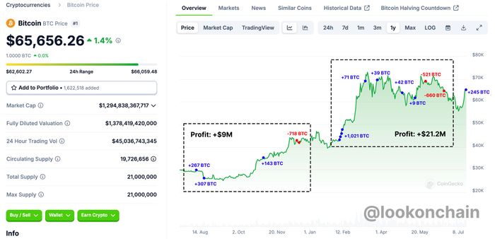 Cá voi Bitcoin