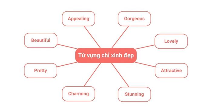 Danh sách từ vựng miêu tả sự xinh đẹp trong tiếng Anh