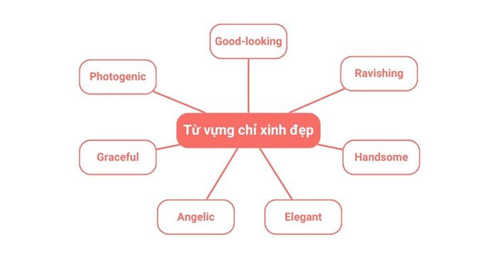 Danh sách từ miêu tả vẻ đẹp trong tiếng Anh