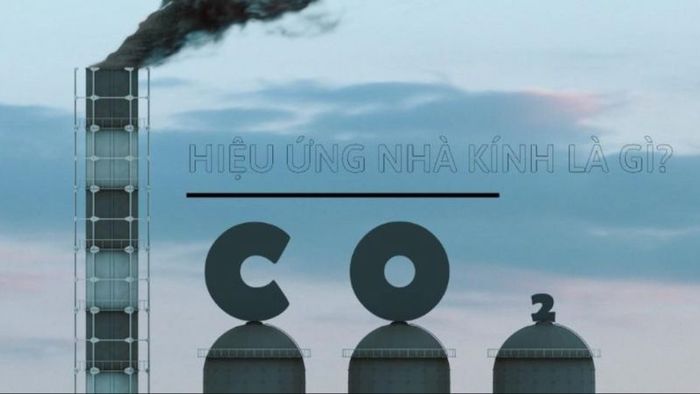 hieu-ung-nha-kinh-la-gi