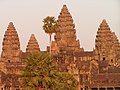 Thốt nốt tại Angkor Wat, Campuchia