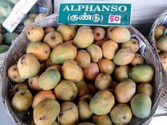 Xoài Alphonso