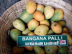 Xoài Banganapalli