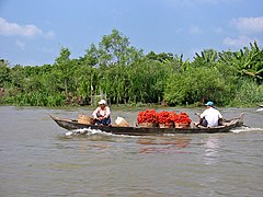 Khu vực đồng bằng sông Cửu Long.