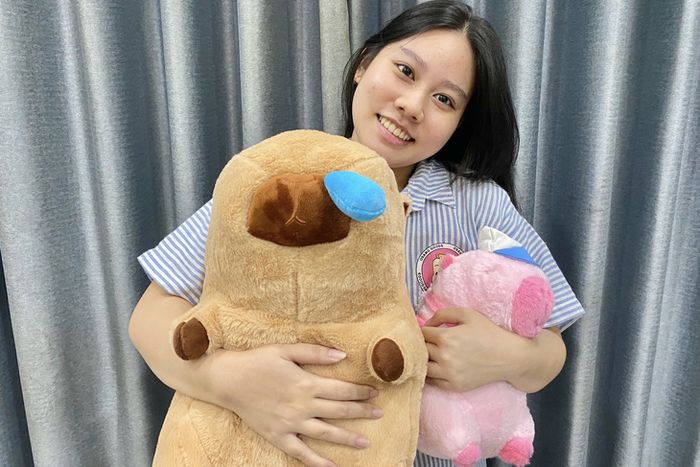 Do quá yêu thích chuột lang nước Capybara, Hồng Nhi đã sắm cho mình 2 chú gấu bông siêu dễ thương - Ảnh: QUANG HUY
