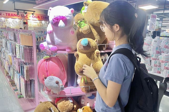 Một bạn trẻ không thể rời mắt khỏi sự đáng yêu của Capybara - Ảnh: QUANG HUY