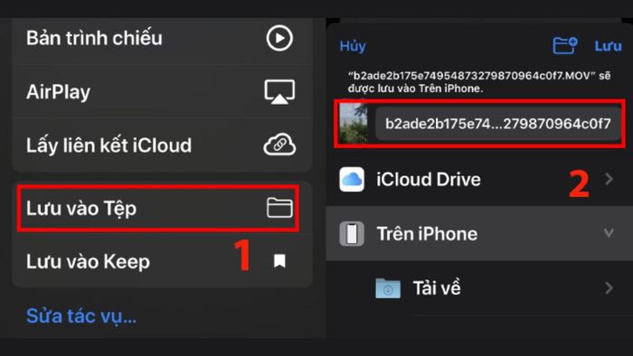 Hướng dẫn tải ảnh từ iCloud về iPhone trong Album chia sẻ, bước 3