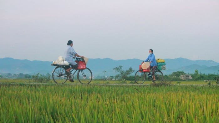 hinh-anh-lang-que-yen-binh-tinh-lang-6