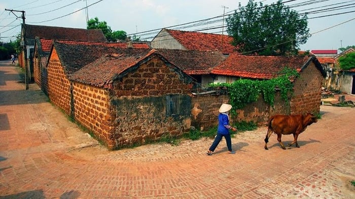 hinh-anh-lang-que-yen-binh-tinh-lang-36