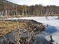 Tierra del Fuego