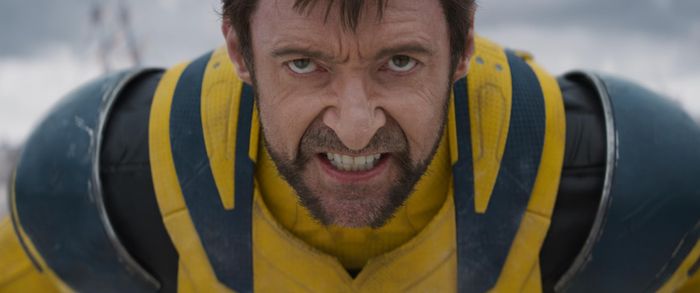 Wolverine chính thức trở lại MCU từ sau Logan (2017).