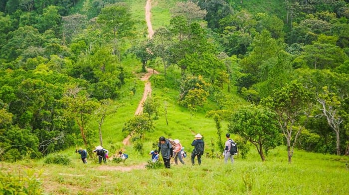 trekking-la-gi-co-gi-khac-voi-hiking-10