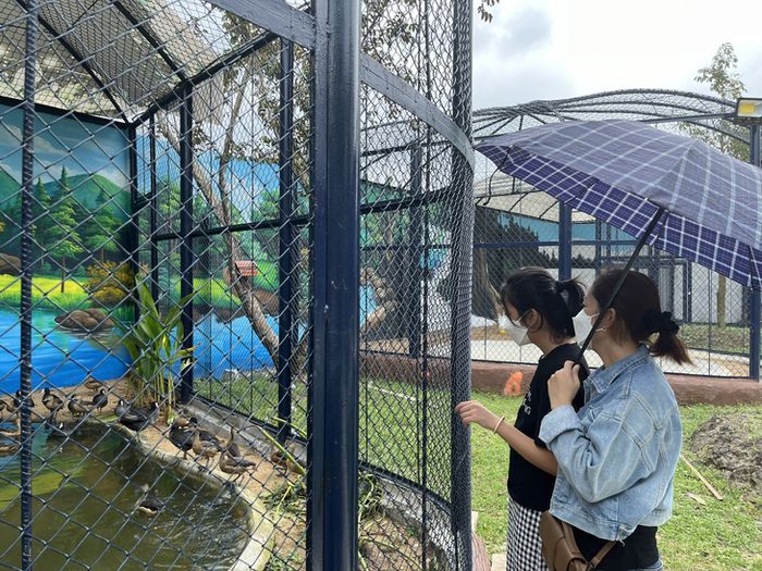 Du khách khám phá vườn thú