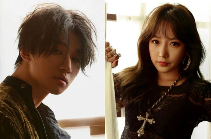 Soyeon và Daesung: Những Ngoại Lệ Đáng Chú Ý trong K-pop - Ảnh 1.