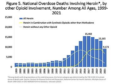 Số lượng tử vong do quá liều hàng năm liên quan đến heroin tại Mỹ.[36]