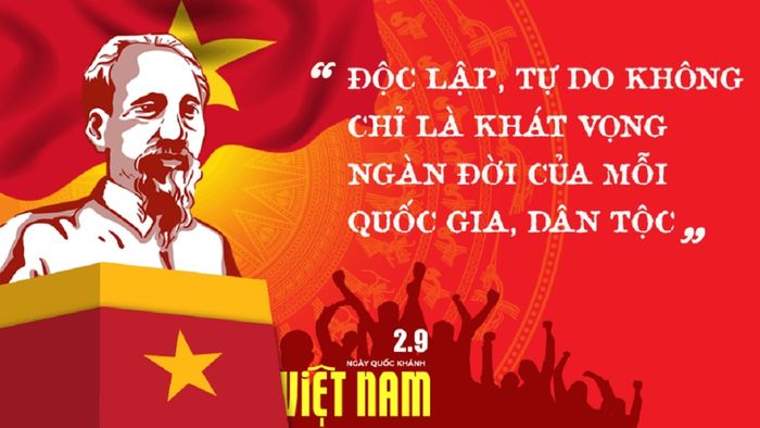 2/9 33 với nền