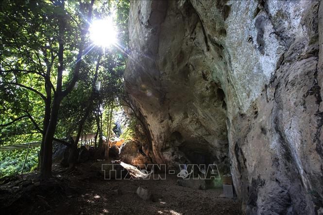 Tầng văn hóa tại di tích Mái đá làng Vành dày khoảng 4m, được hình thành từ đất sét vôi và các lớp vỏ nhuyễn thể cùng vỏ trai ốc núi. Mỗi lớp văn hóa chứa các tàn tích từ bữa ăn của người Hòa Bình cổ - Ảnh: TTXVN