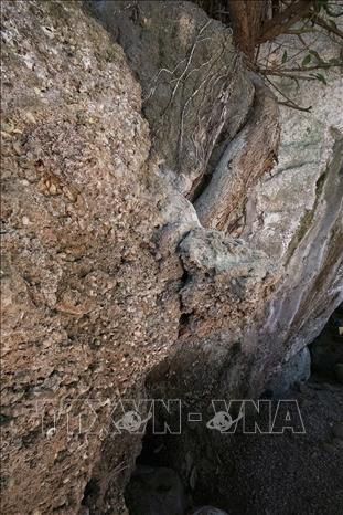 Mái đá làng Vành và Hang xóm Trại: Di sản văn hóa nghìn năm của xứ Mường Hòa Bình - Ảnh 2.