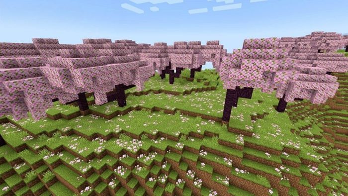 Những tính năng nổi bật của Minecraft 1.20.0 APK Tiếng Việt miễn phí