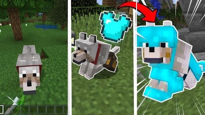 Những điểm nổi bật trong bản cập nhật Minecraft 1.20.81 APK