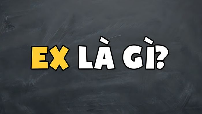 ex-la-gi-1