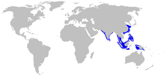 Phạm vi phân bố của cá nhám nâu