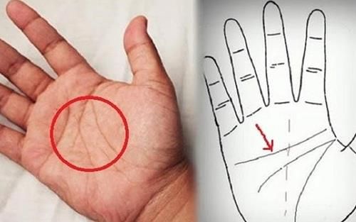 Nhận diện đường chỉ tay phụ nữ giàu có