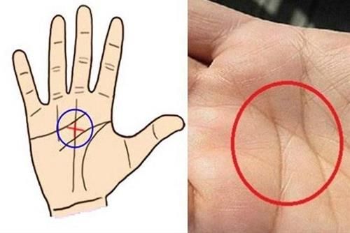 Mỗi đường chỉ tay đều mang ý nghĩa riêng biệt
