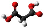 Mô hình ball-and-stick của phân tử acid malonic