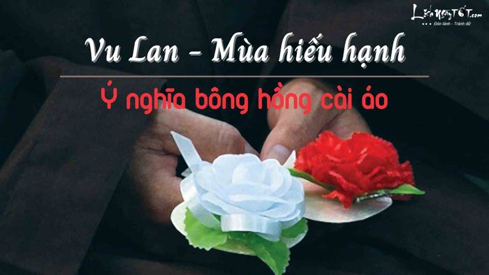 Bông hồng cài áo trong mùa Vu Lan
