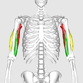 Xem từ phía trước.