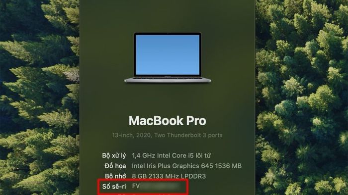 kiem-tra-serial-macbook-4