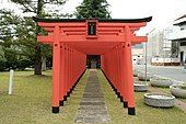 Một dãy các torii