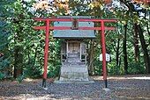 Torii Hachiman