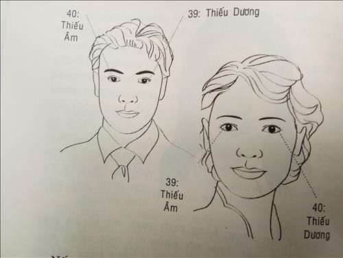 39 40 Thiếu âm và Thiếu dương