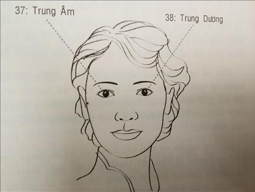 37 38 Thiếu âm và Thiếu dương