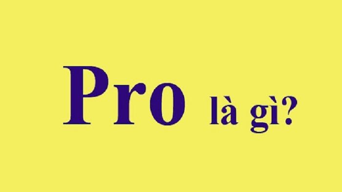 pro-la-gi-2