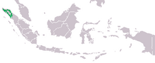 Phân bố tại Indonesia