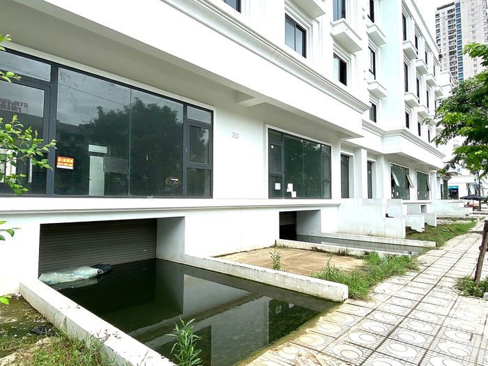 Người dân Hà Nội câu cá trong các hầm của biệt thự triệu đô.