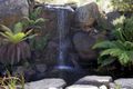 Một thác nước nhỏ tại Công viên Quốc gia Botanic ở Canberra, Úc
