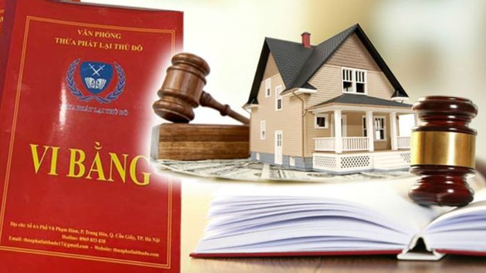 Vi bằng là gì?