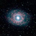 M95