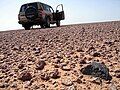 Thiên thạch đá được tìm thấy tại Hammdah al Hamra, Libya năm 2004