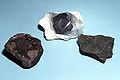 Các chondrite carbon