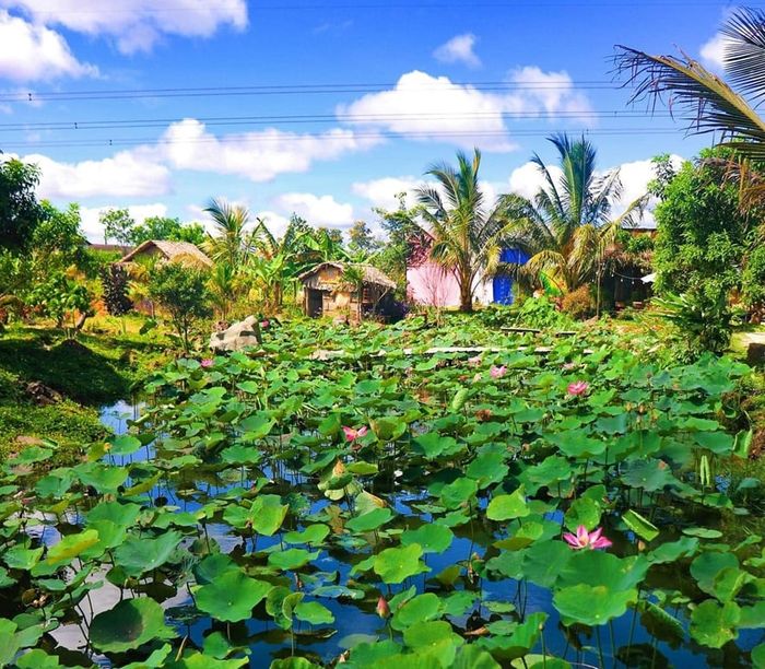 Không gian lãng mạn tại Hồng Vượng Farm