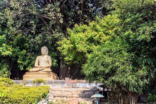 Tăng cường năng lượng tích cực của bạn